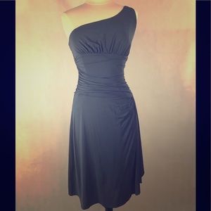 BCBG Slate blue Dress